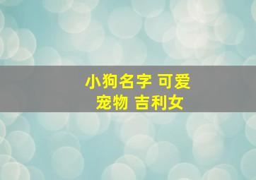 小狗名字 可爱 宠物 吉利女